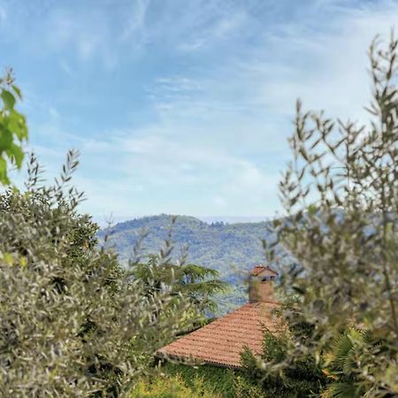 Teolo Elegante Appartamento Con Vista - Colli Euganei מראה חיצוני תמונה