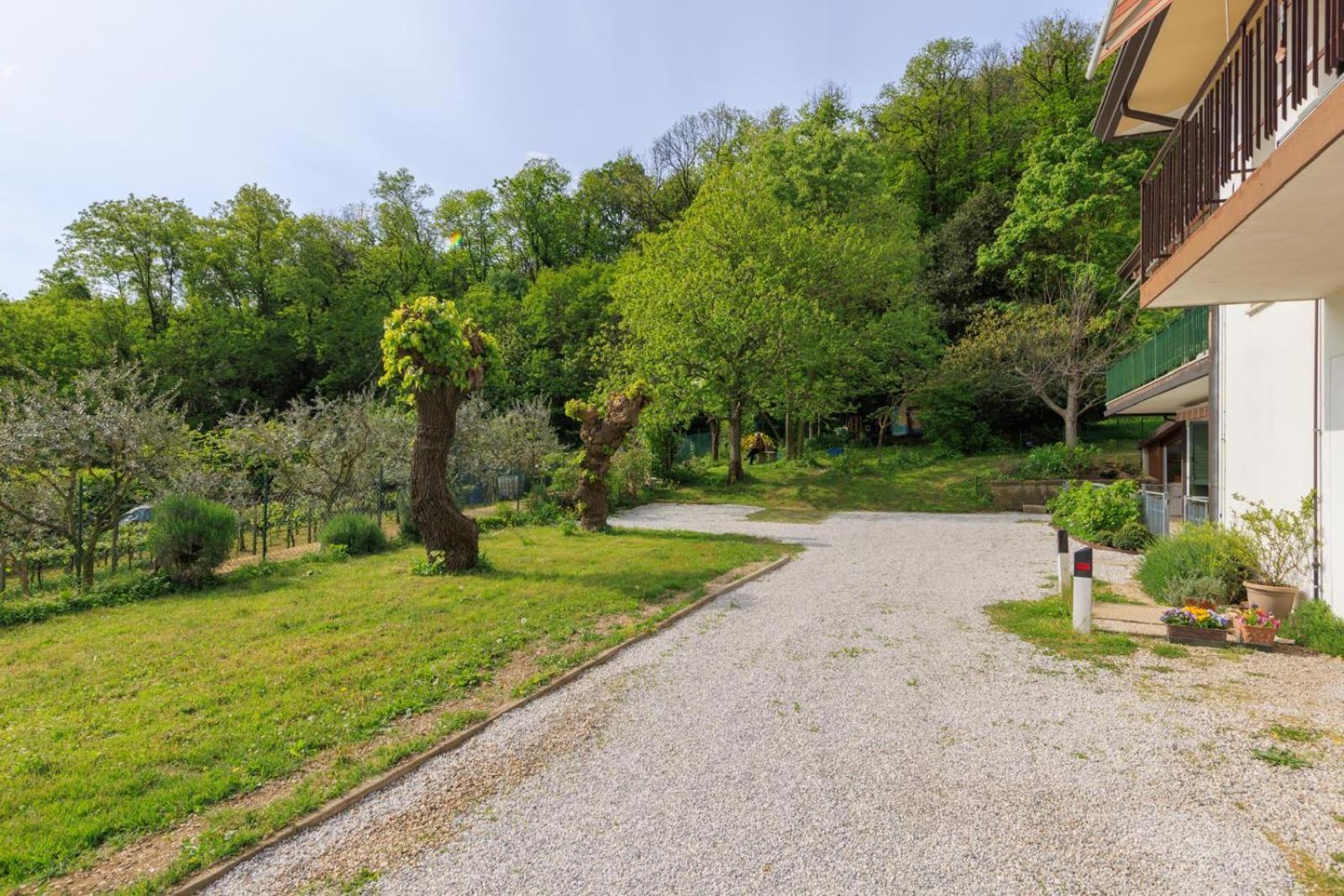 Teolo Elegante Appartamento Con Vista - Colli Euganei מראה חיצוני תמונה